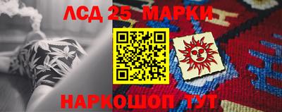 гидра Будённовск