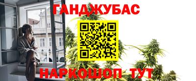 гидра Будённовск