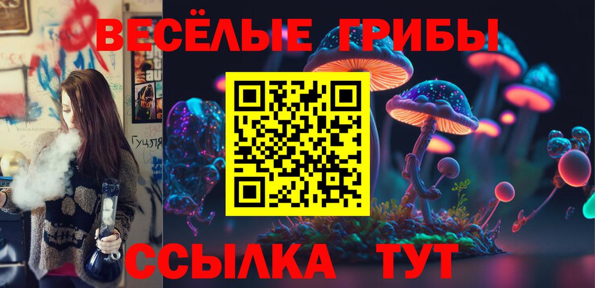 Новомосковск  Псилоцибиновые грибы Cubensis  где продают наркотики  Вход с VPN 