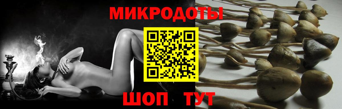Псилоцибиновые грибы прущие грибы Новомосковск